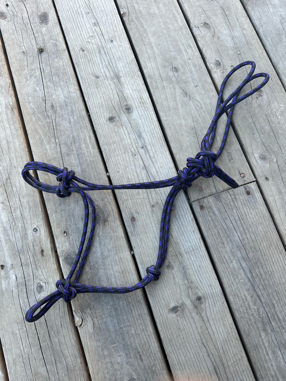 Horse Tack - Black & Purple Rope Halter